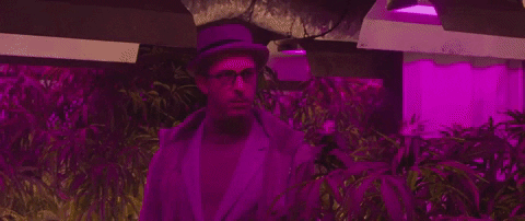 Matthew Mcconaughey Weed GIF by The Gentlemen