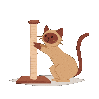 Cat Sticker by Affinity