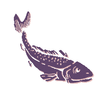 tigremorado tigre morado cebicheria tigremorado Sticker