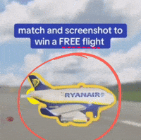 Plane Airplane GIF