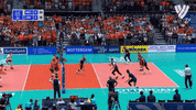Celebrate Matt Anderson GIF by Volleyball World