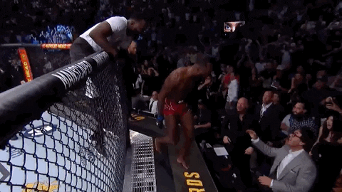 Mixed Martial Arts Sport GIF by UFC