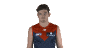 melbourne football club wink Sticker by Melbournefc