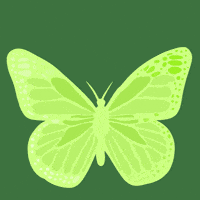 Spring Butterfly GIF