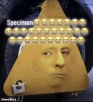 Face Son GIF