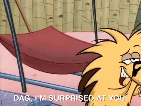 nickrewind giphydvr nicksplat angry beavers giphyab002 GIF
