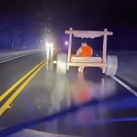 Fred Flintstone Cops GIF by Respective