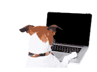 Dogs Tech Sticker by Luna Pets