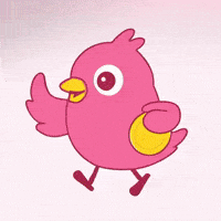 Pink House GIF by Chicksstarter