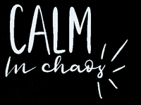 Theodoreandjames chaos theodoreandjames calminchaos GIF