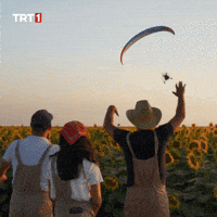 Look Go GIF by TRT