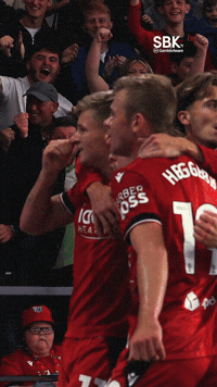 West Brom Wba GIF by West Bromwich Albion
