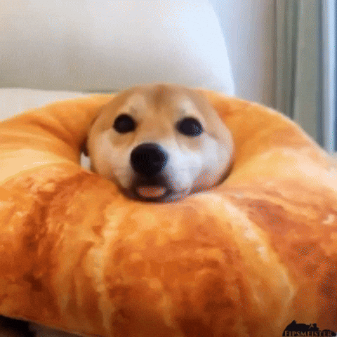Imgur Favorite Gifs GIF by Imgur