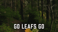 Go Leafs Go