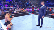 Wwe Wrestling GIF by USA Network