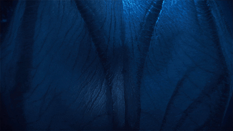 Evil GIF by Paramount+