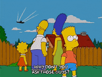 homer simpson GIF