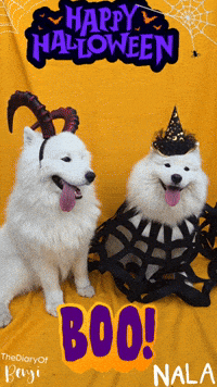 Halloween Queen GIF