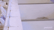 Dog GIF by PeacockTV