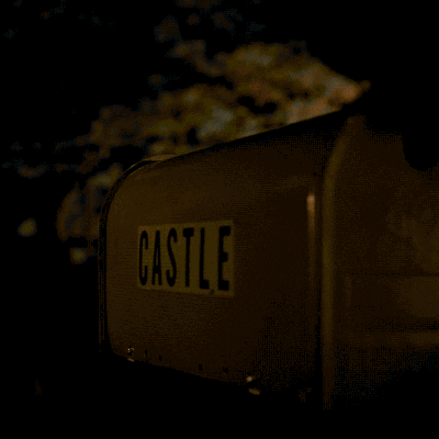 frank castle punisher GIF by Marvel's Daredevil