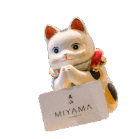 Miyama Cat Sticker by Miyama Melbourne