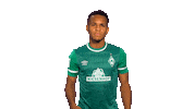 Fussball Sticker by SV Werder Bremen