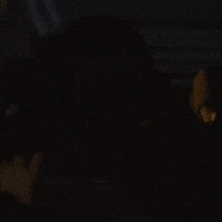 Timothee Chalamet Cinema GIF