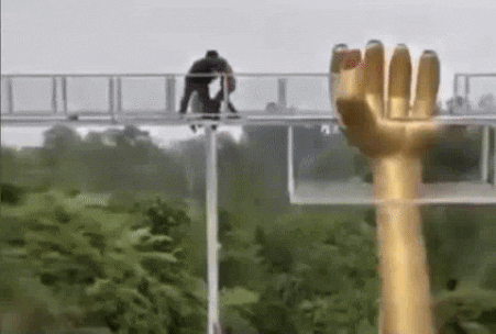 yj_jane giphyupload GIF