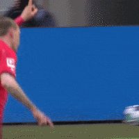 1 Fc Cologne Football GIF by 1. FC Köln