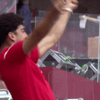 1 Fc Cologne Football GIF by 1. FC Köln