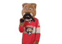 Ice Hockey Sticker by NHL