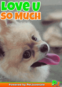 Dog Talk GIF by PetJuvenate - PJ
