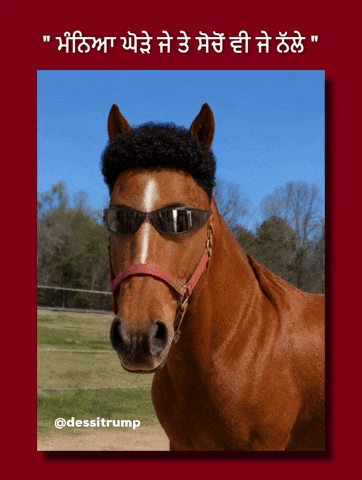 Horse Billboard GIF