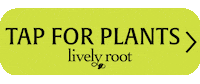 Plants Sticker by Lively Root