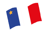 nouveau-brunswick flag Sticker by VOX Interactif