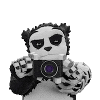 Photography Camera Sticker by Endangered Labs