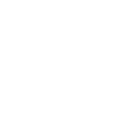 olliebriusyolo white chat bruce fleurs Sticker