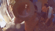 Children Create GIF by Greenplace TV