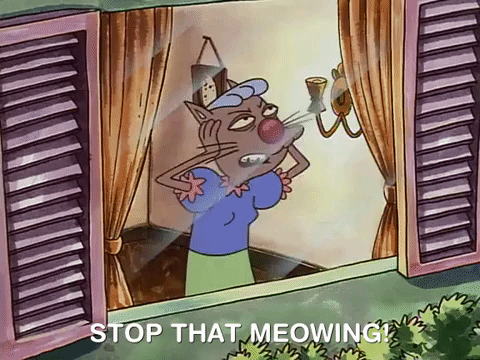 nicksplat GIF