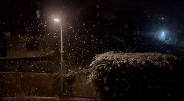 Snow Closes Schools in Cornwall as Winter Weather Grips Southwest England
