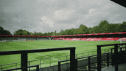 Football Soccer GIF by Salford City FC