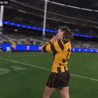 Hawthorn Hawks GIF