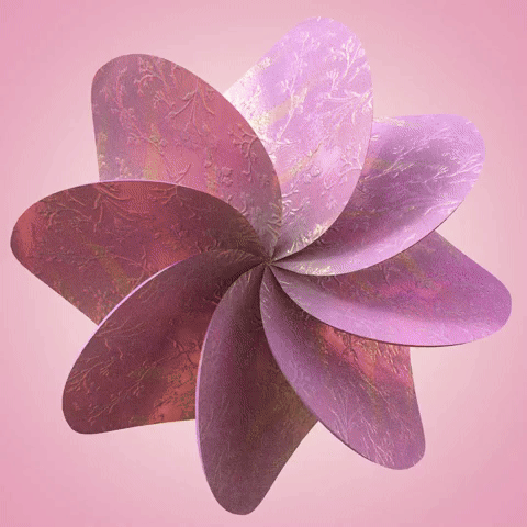 Pink Flower