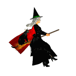Witch Coven Sticker