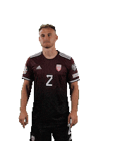 Happy Dance Sticker by Latvijas Futbola Federācija