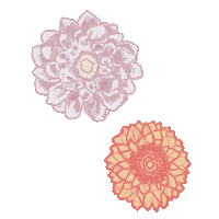 lovelyhollowfarm flower flowers lovely farm Sticker