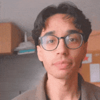 Hair Wow GIF