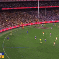 Hawthorn Hawks GIF