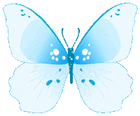 Blue Butterfly Butterflies Sticker
