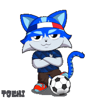 France Win Sticker by Toshithecat